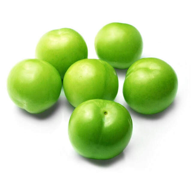 Erik Can