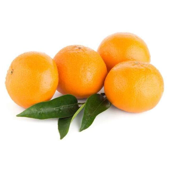 İzmir Mandalina