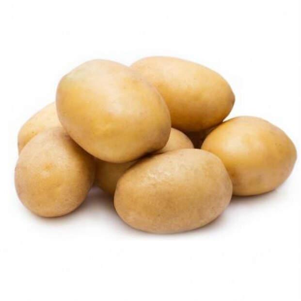 Patates Yeni Arya