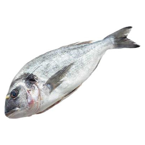 Çinekop