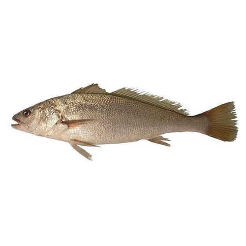 Granyöz