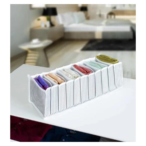 Düzenleyici Maxi Organizer