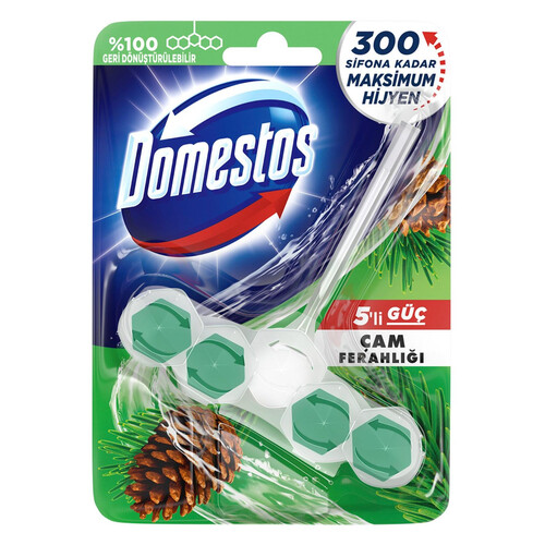 Domestos Wc Blok 5 Li Güç Çam Ferahlığı