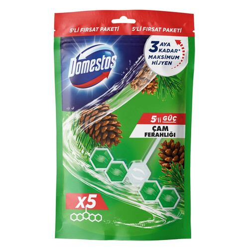 Domestos Wc Blok 5 Li Güç Çam Ferahlığı 5 Li