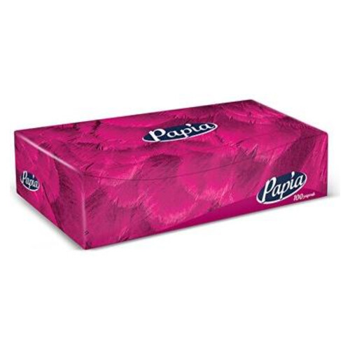 Papia Kutu Mendil 100'lü