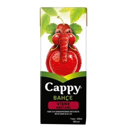 Cappy Meyve Suyu Vişne 200 Ml.