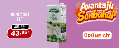 gelsineve.com