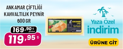 gelsineve.com
